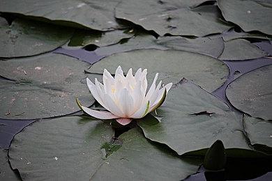 《红色沙漠》跳票到2026年第一季度 仍参加科隆游戏展